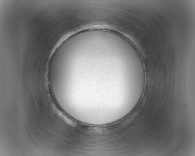 X0000080141374200612081015