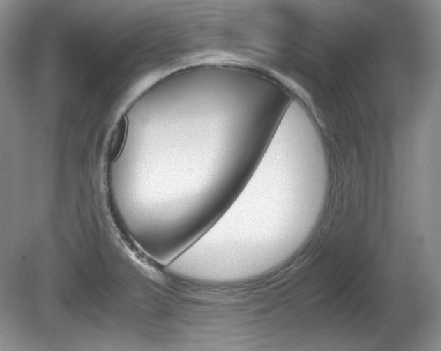 X0000080141375200612081015