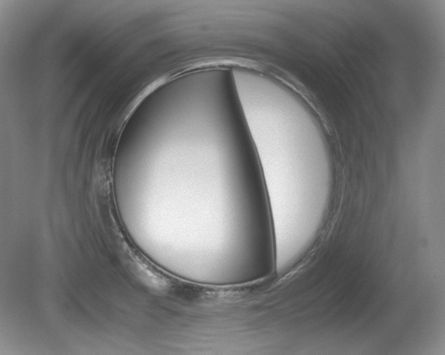 X0000080141377200612081015