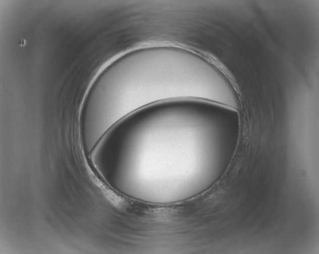 X0000080141380200612081015