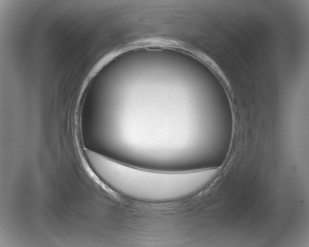 X0000080141381200612081015