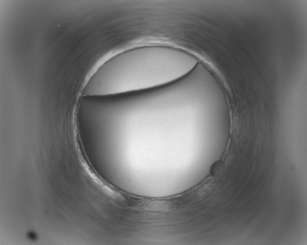 X0000080141382200612081015