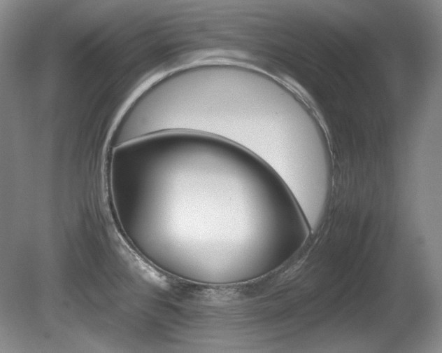 X0000080141384200612081015