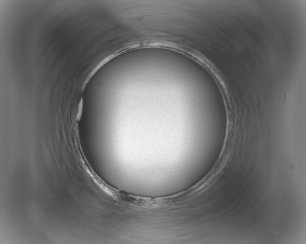 X0000080141385200612081015