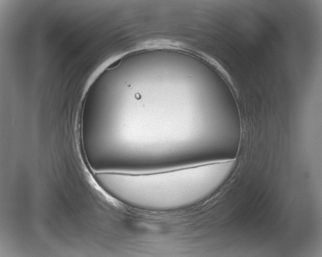 X0000080141387200612081015