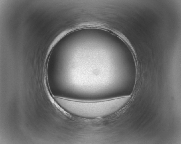X0000080141389200612081015