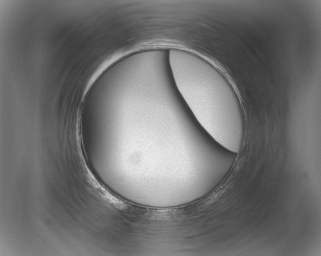 X0000080141390200612081015