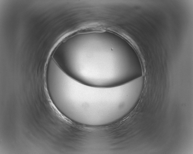 X0000080141392200612081015