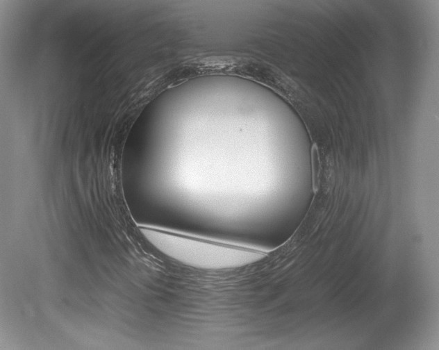 X0000080141394200612081014