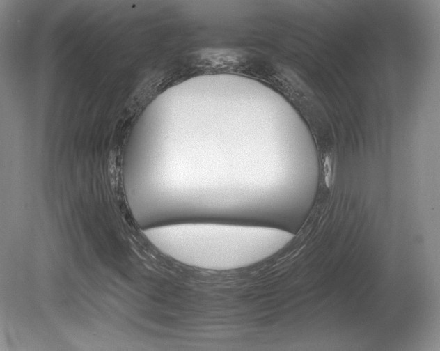 X0000080141395200612081014