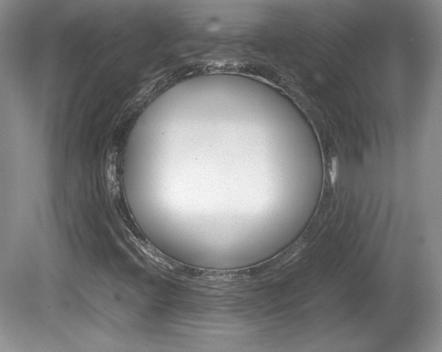 X0000080141396200612081014