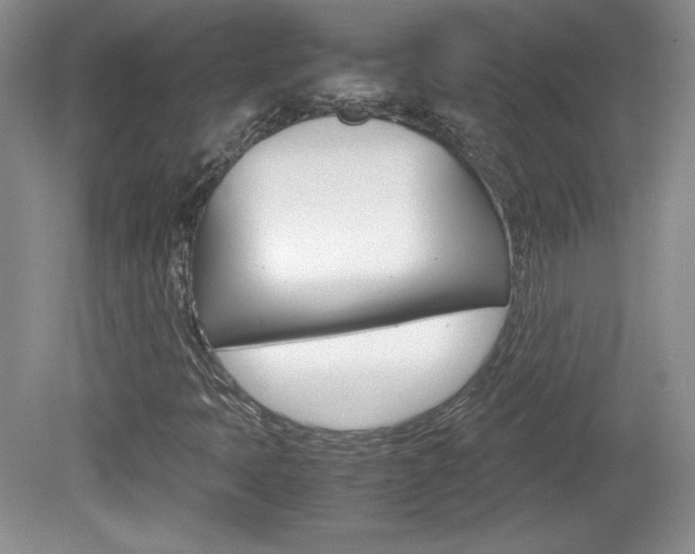 X0000080141397200612081014