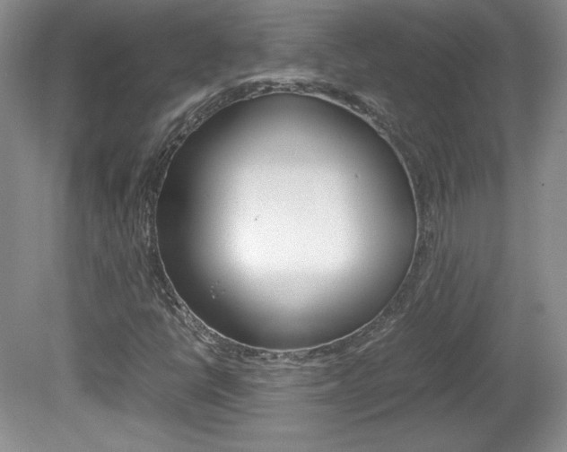 X0000080141398200612081014