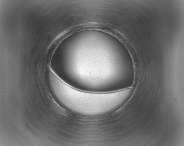 X0000080141402200612081014