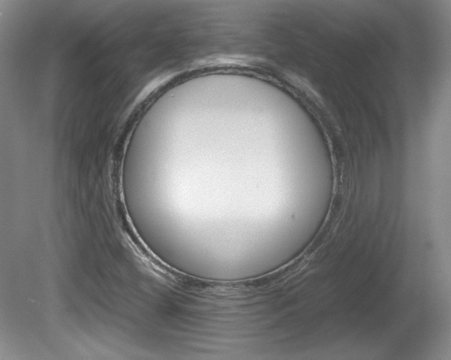 X0000080141404200612081014
