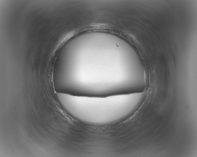 X0000080141405200612081014