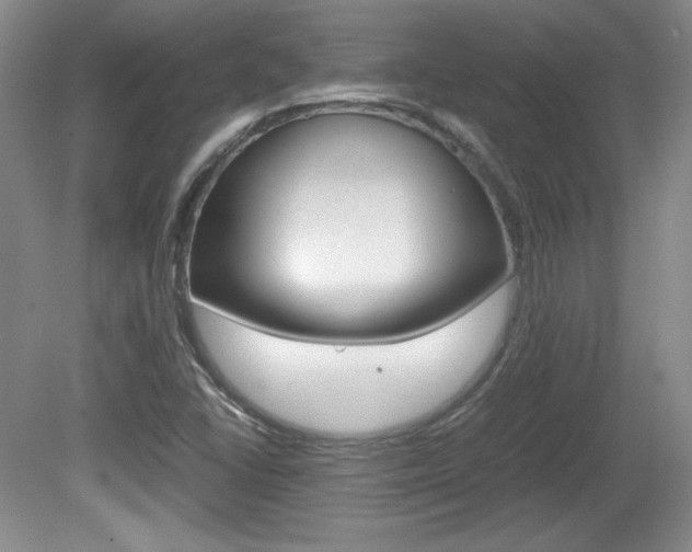 X0000080141406200612081014