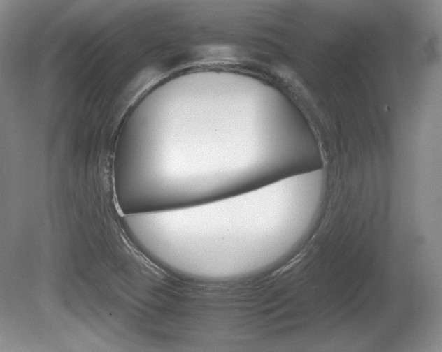 X0000080141409200612081014