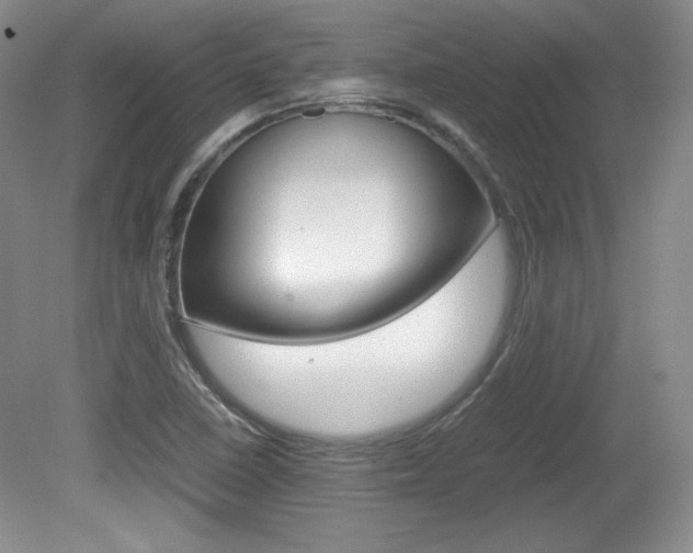 X0000080141410200612081014