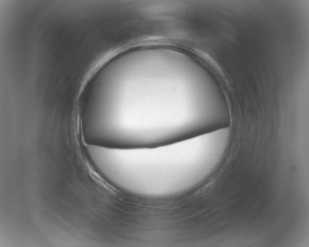 X0000080141413200612081014