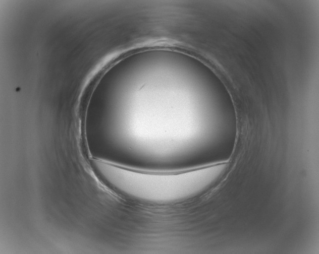 X0000080141414200612081014
