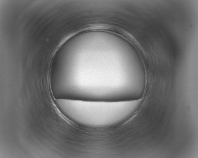 X0000080141417200612081014