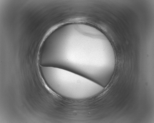 X0000080141421200612081015