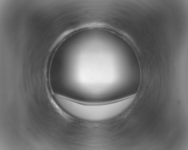 X0000080141422200612081015
