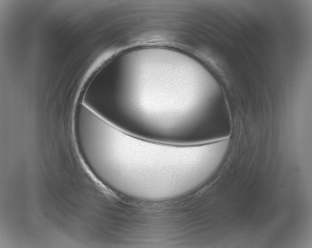 X0000080141424200612081015