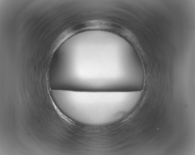 X0000080141425200612081015