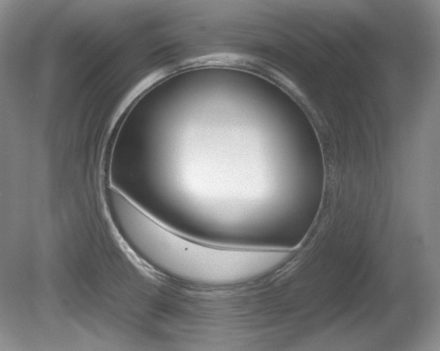 X0000080141426200612081015
