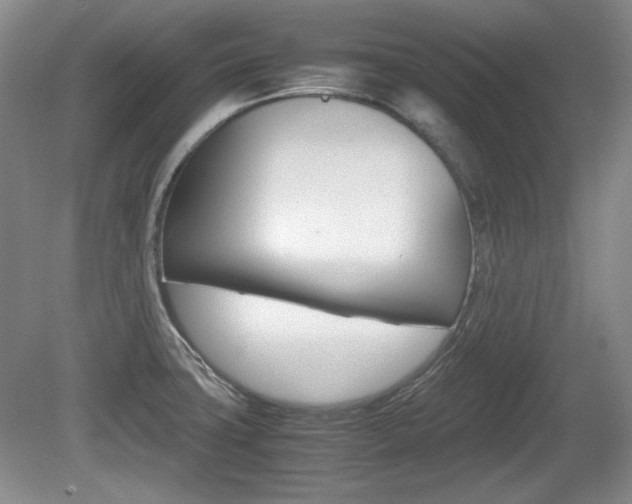 X0000080141427200612081015