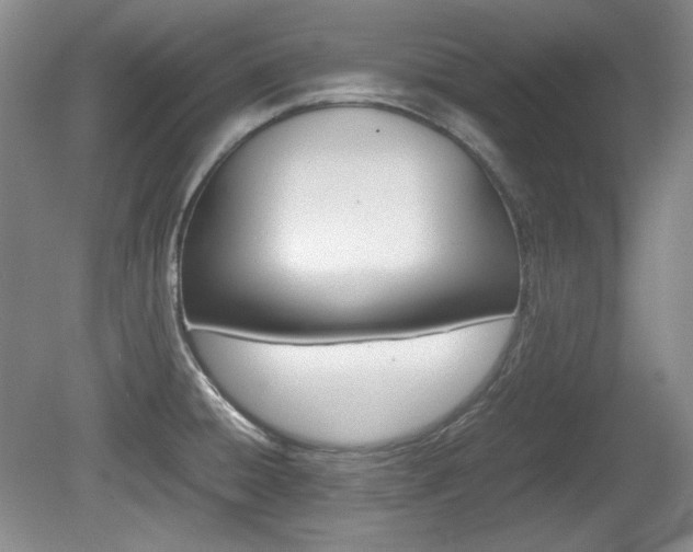 X0000080141428200612081015