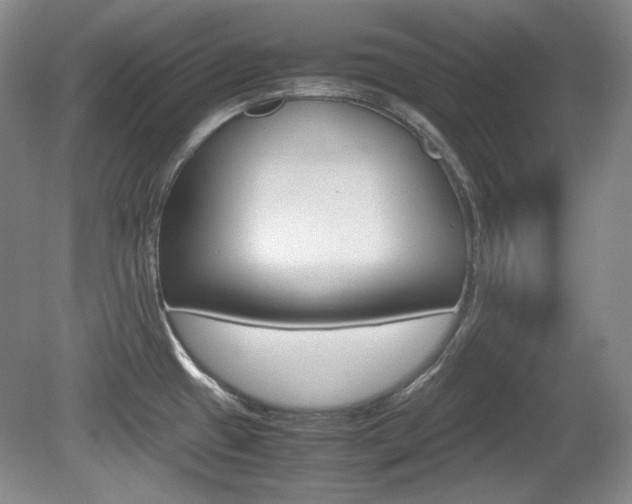 X0000080141433200612081015