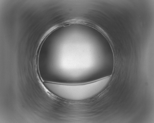 X0000080141434200612081015