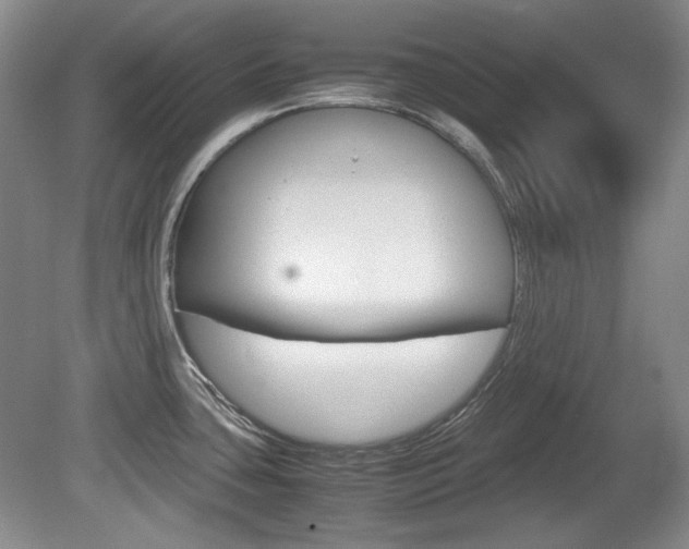 X0000080141435200612081015
