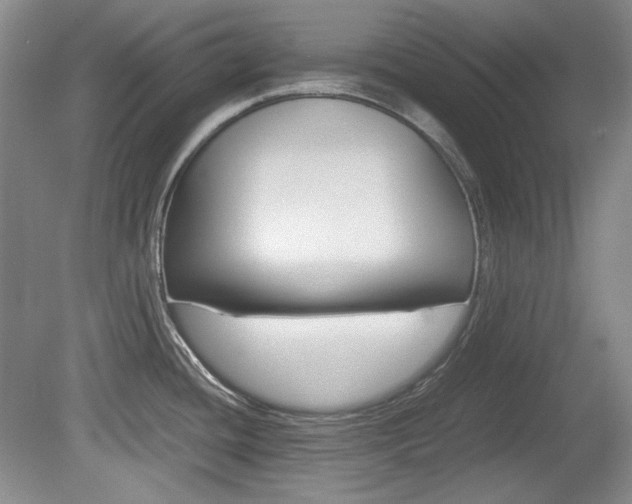X0000080141436200612081015