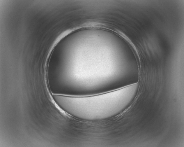 X0000080141437200612081015