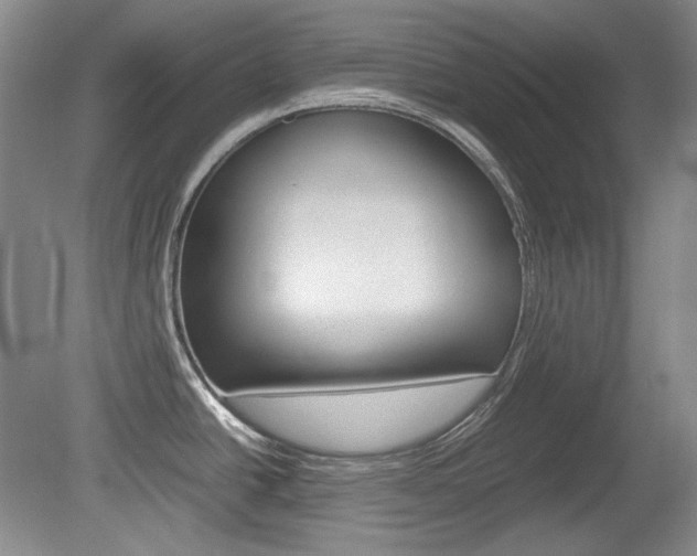 X0000080141438200612081015