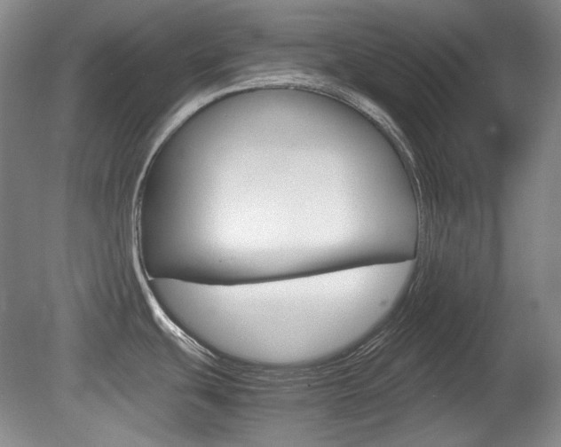 X0000080141439200612081015