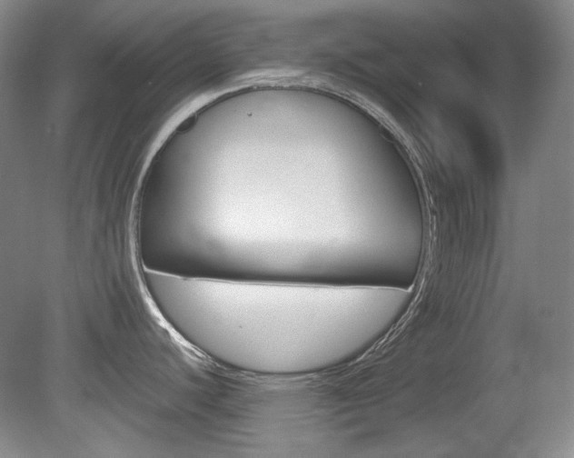 X0000080141440200612081015