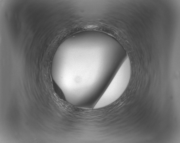 X0000080141441200612081014