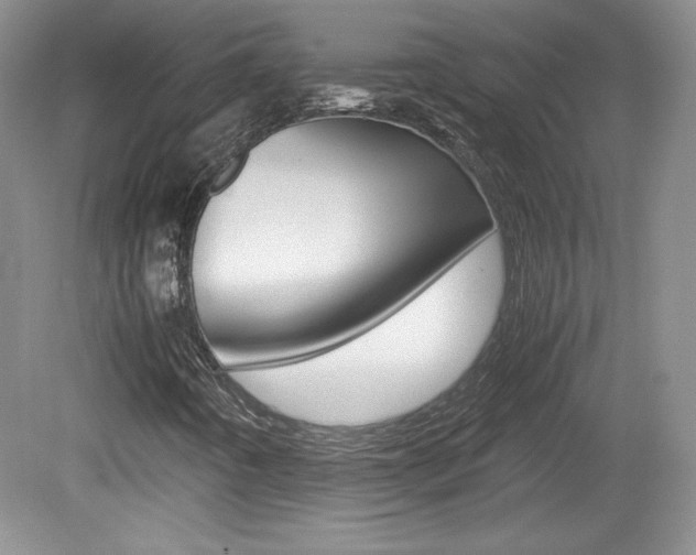 X0000080141442200612081014