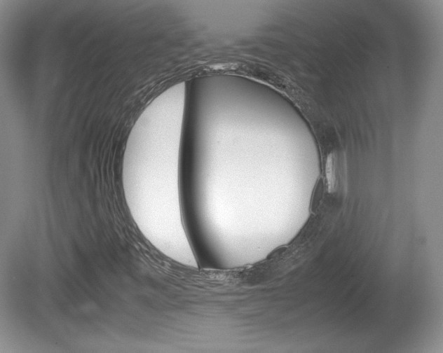 X0000080141443200612081014