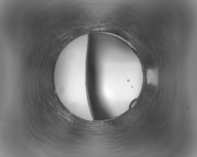 X0000080141444200612081014