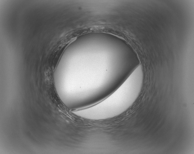 X0000080141445200612081014