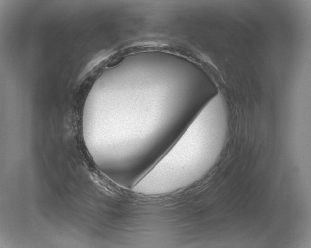 X0000080141448200612081014