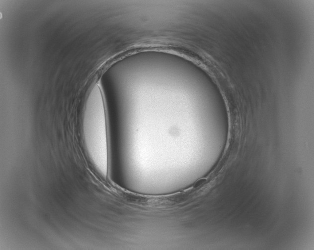 X0000080141449200612081014