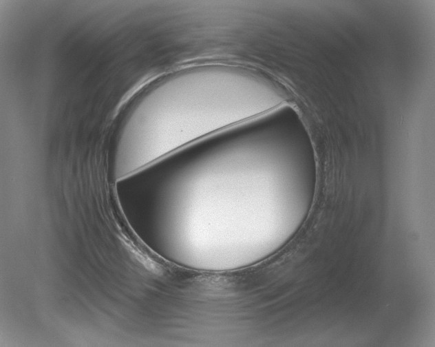 X0000080141450200612081014