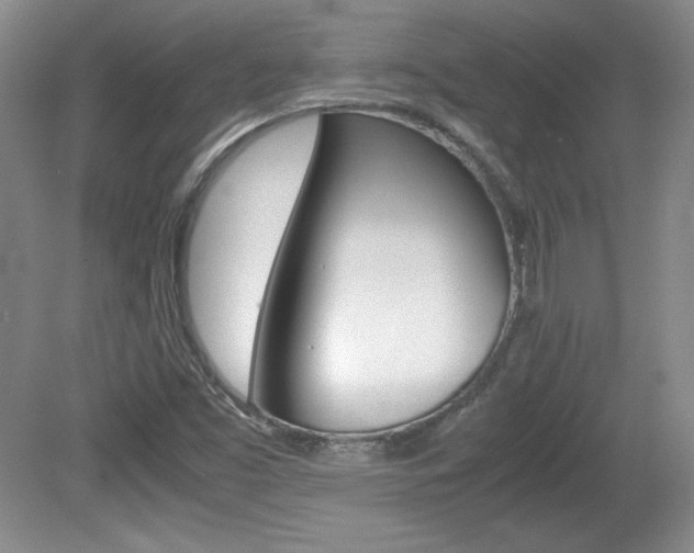 X0000080141453200612081014